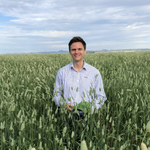 Dennis Voznesenski (Agricultural Analyst at Rabobank Australia Limited)