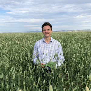 Dennis Voznesenski (Agricultural Analyst at Rabobank Australia Limited)